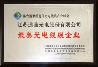 3-20131105最美光電線纜企業(yè)