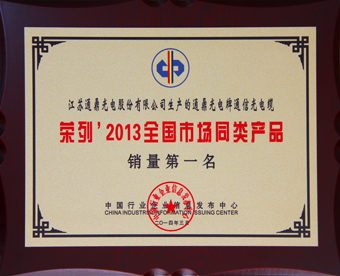 1-2013年同類市場產(chǎn)品銷量第一牌匾